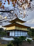 Finding Zen in Kyoto: A Journey Through Japan's Ancient Temples and Gardens