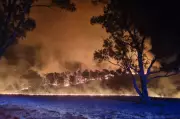Fire Destroys Multiple Properties in Adelaide Hills, Emergency Services Respond