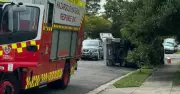 Hamilton South Crash: Pest Control Ute Flips in Morning Collision