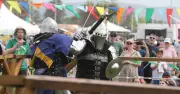 Medieval Knights Clash at Lake Illawarra Australia Day Celebrations
