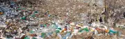 Plastic Litter Rises in WA, But Fines Plummet: Keep Australia Beautiful Report