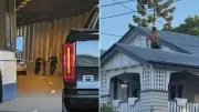 Rooftop standoff ends after naked resident shocks alleged car thief in Woolloongabba