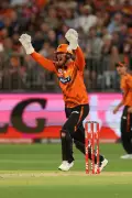 Scorchers Boost: Allen, Evans & Payne Set for BBL Return Against Renegades
