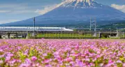 Shizuoka: Japan's Rising Star for Astro-Tourism, Onsens & Culture
