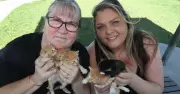 Warilla Walker Rescues Five Starving Kittens Abandoned in Taped Shoebox at Dog Park