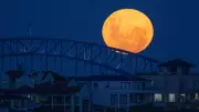 Wolf Moon 2026: Fourth Supermoon to Illuminate Australian Skies