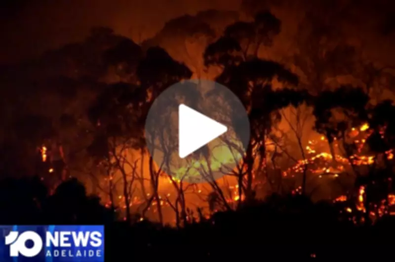 10 News Daily Video SA: A New Era of Local News Broadcasting in South Australia