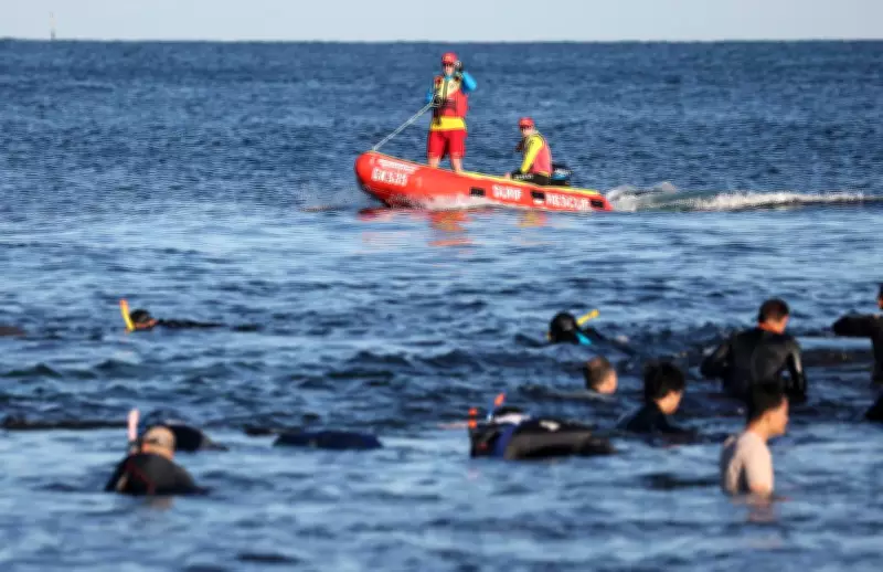 Abalone Fishing Session Cancelled in WA Due to Dangerous Weather Conditions