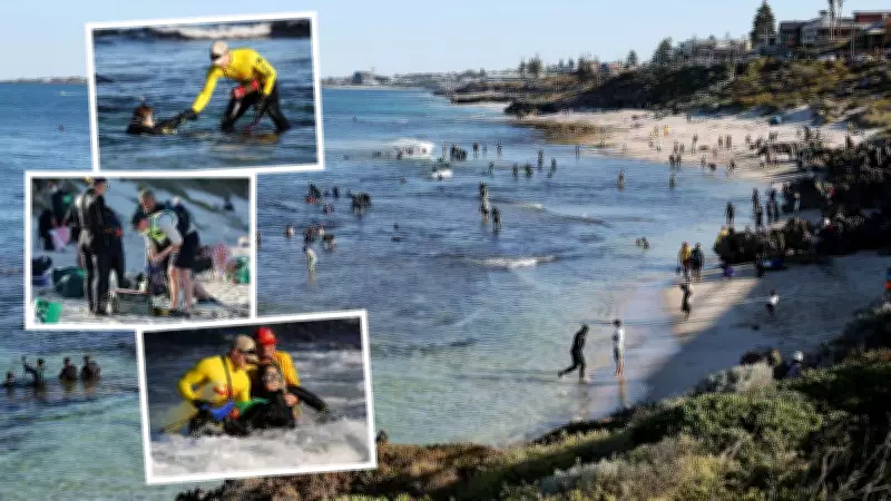 Abalone Season Chaos: 22 Fishers Rescued in One Hour as Lifesavers Battle Perth Beaches