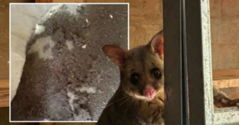 ACT Public Housing Tenants Endure Lengthy Delays for Essential Repairs