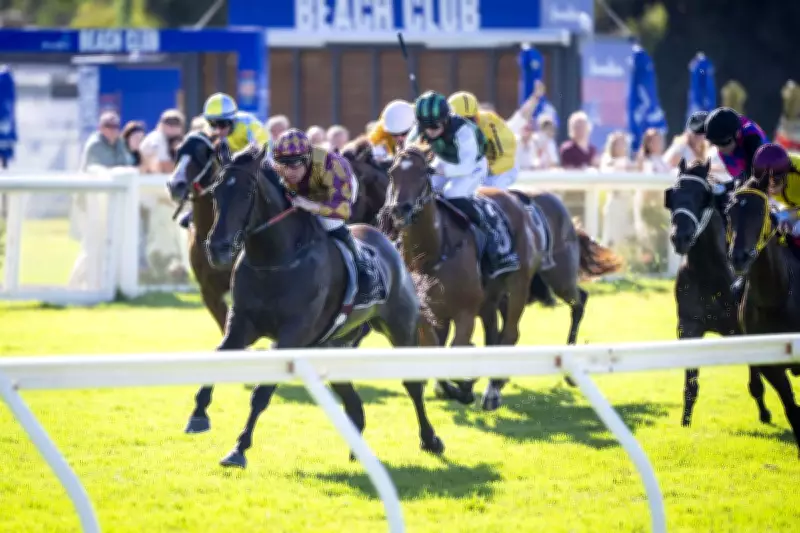 Almighty Class Triumphs in Cyril Flower Stakes Under New Trainer