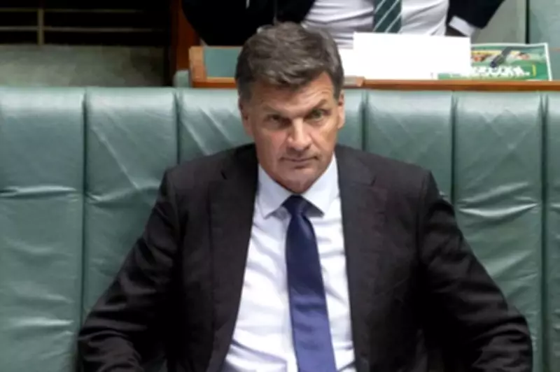 Angus Taylor Faces Pressure to Develop Substantive Immigration Policy Beyond Slogans