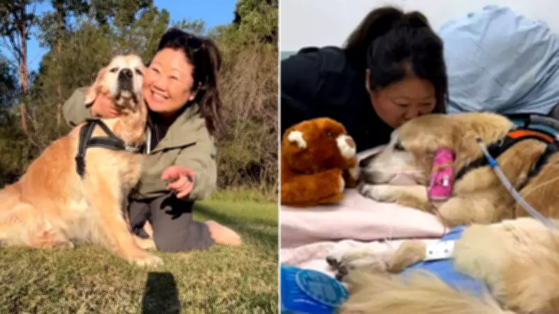 Australian Food Blogger Nagi Maehashi Mourns Loss of Beloved Golden Retriever Dozer