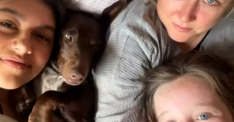 Beloved Family Dog Dies from Rat Bait Poisoning in Heartbreaking Incident