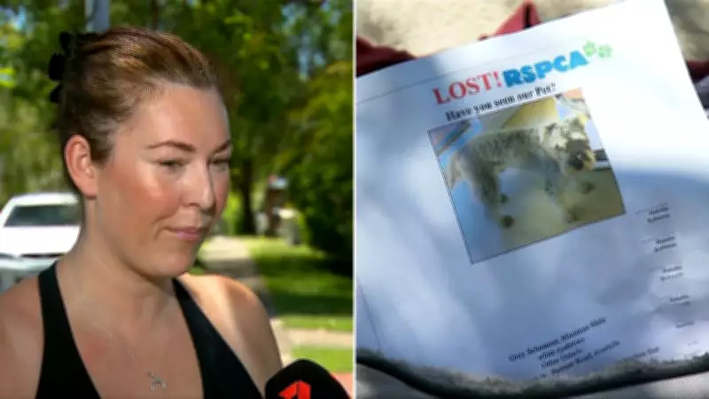 Beloved Pet Dog Allegedly Stolen by E-Scooter Rider in Brisbane Suburb