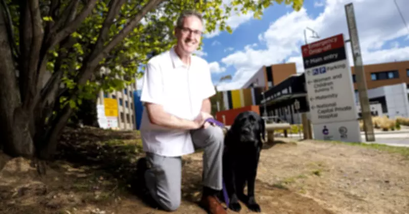 Black Labrador Lachie Provides Comfort to Patients at Canberra Hospital