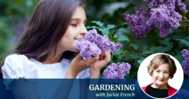 Boost Your Brain with Garden Scents: A Natural Memory Enhancer