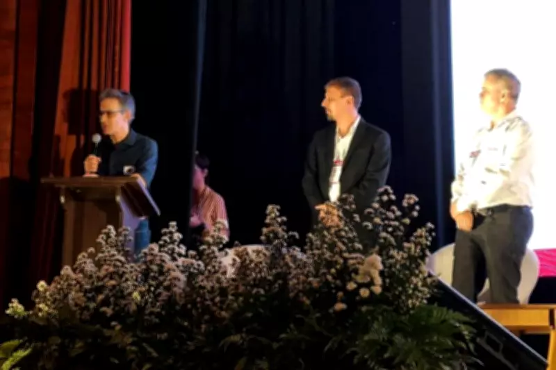 Brazil Grants Tax Breaks to St George Mining for Critical Minerals Project in Minas Gerais