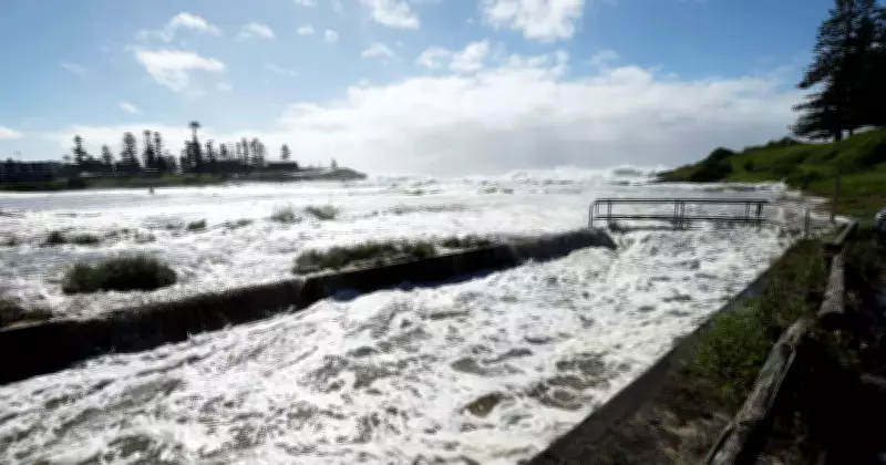 Bull Shark Spotted Near Kiama Prompts Safety Alert for Illawarra Swimmers