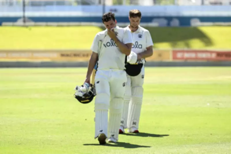 Bush and Burbs: WA's Premier Cricket Stars Could Fill Sheffield Shield Void