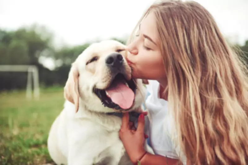 Celebrate Love Your Pet Day with Luxurious Upgrades and Treats