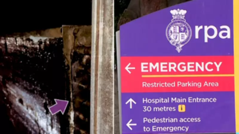 Deadly Mould Outbreak at Sydney Hospital Affects More Patients Than Initially Reported