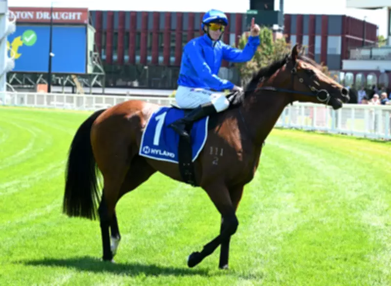 Derby Winner Observer Returns with a Bang, Signals Group 1 Threat