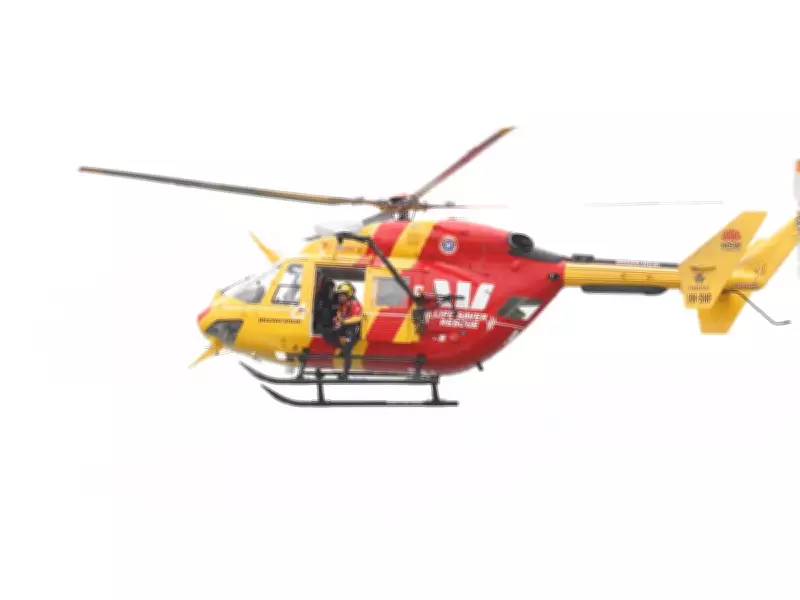 Divers Escape 4.5m Great White Shark Off WA Coast After Helicopter Alert