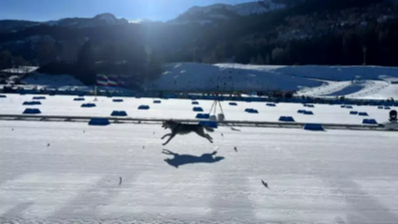 Dog Joins Olympic Race, Klaebo Makes History with Fifth Gold