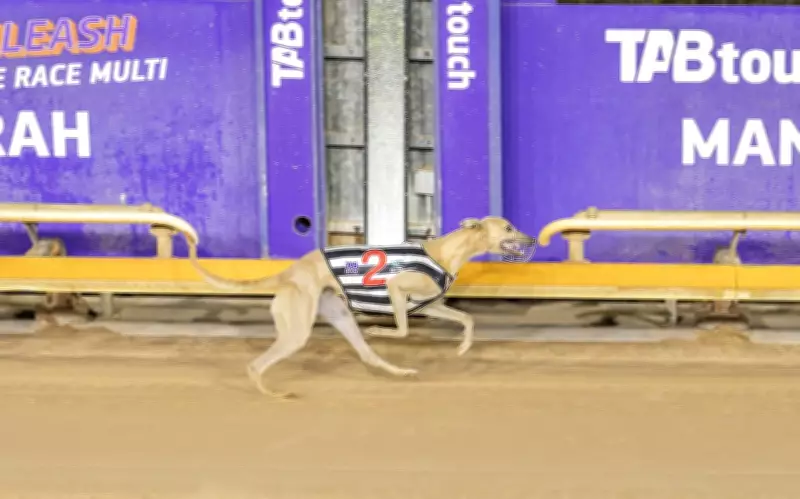 Elite Deluxe Secures Back-to-Back Wins in Mandurah Free For All