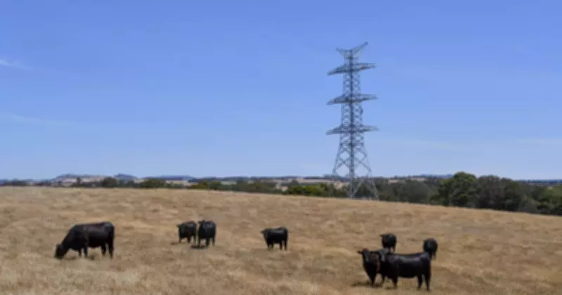 Energy Ombudsman Probes EnergyCo Over $10k Land Fee 'Guidelines' in Hunter