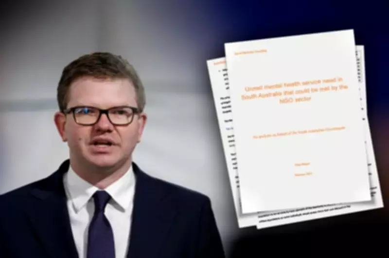 Estado é criticado por não financiar relatório crucial de saúde mental após mais de dois anos