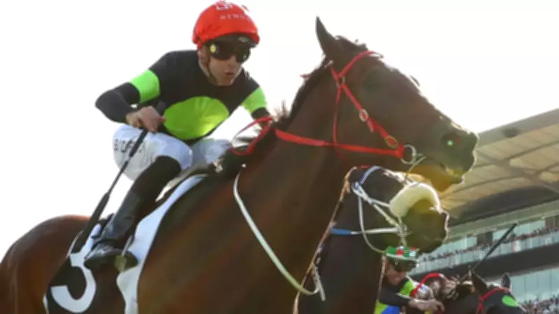 Everest Champion Think About It Dies After Colic Surgery Complications