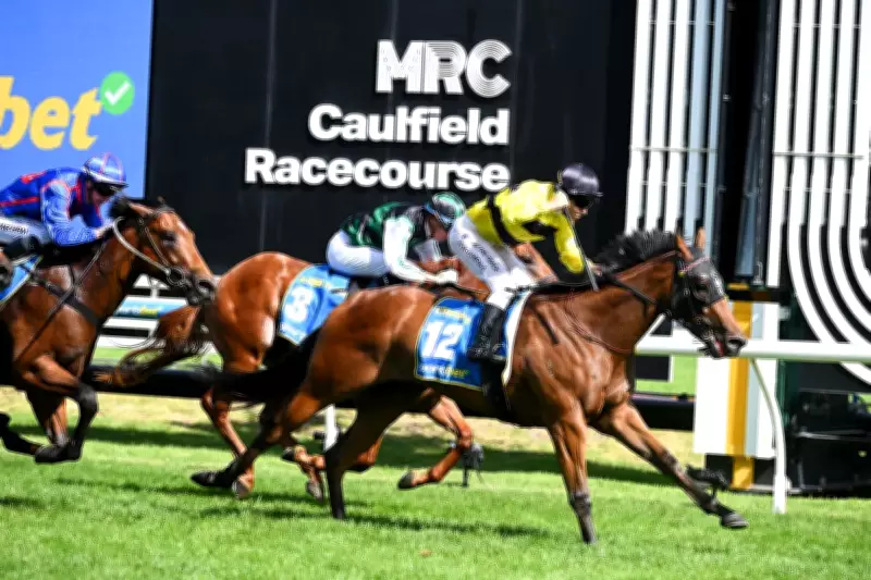 Former AFL Star Michael Gardiner Celebrates Group 1 Blue Diamond Win with Streisand