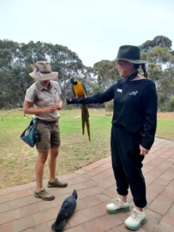 From Busselton Guesthouse to Global Tours: The Villa Carlotta Travel Story