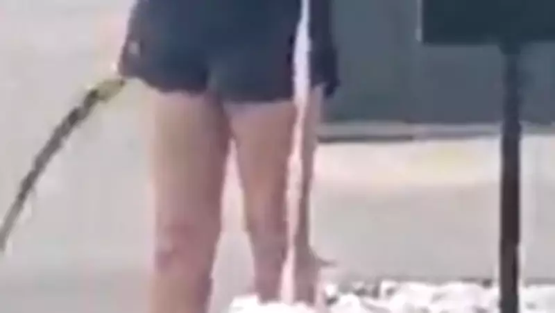 Geelong Dog Walker Seen with Large Serrated Blade in St Albans Park