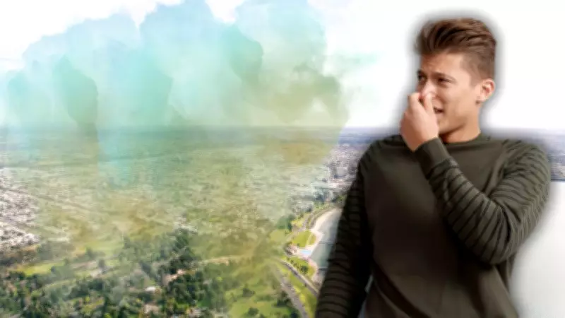 Geelong's Mystery Smell Solved: Chicken Manure Spread Across Farms