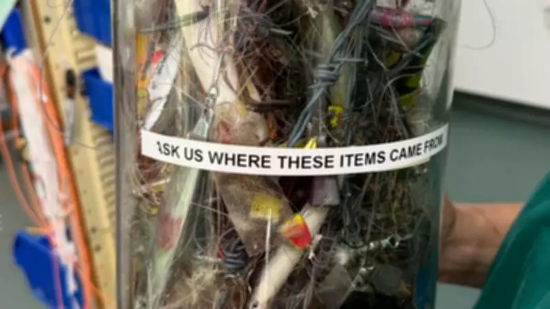 Glass Jar of Horror: Wildlife Hospital's Stark Warning on Fishing Gear Threat