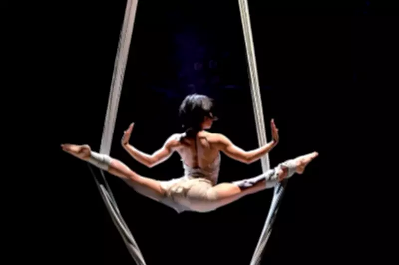 Government Commits to Sustaining Adelaide Fringe Festival's Success