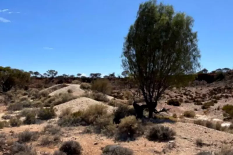 Great Southern Mining Targets Deeper Gold at WA's Laverton Project