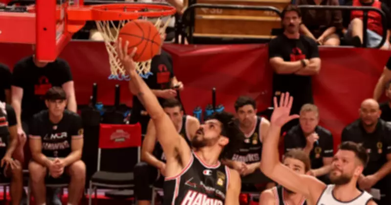 Hawks Star Harvey Celebrates Citizenship with Clutch Performance in NBL Thriller