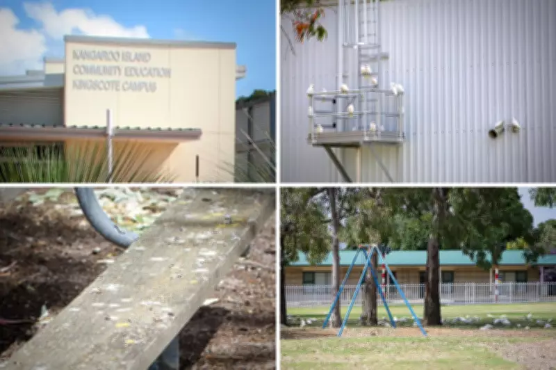 Health Fears Mount at Kangaroo Island School Amid Corella Infestation