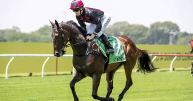 Highway Handicap Preview: Warrior For Peace Leads Open Field