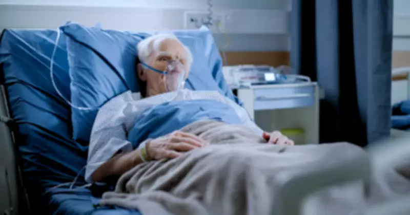 Illawarra Elderly Face Risk as Home Support Reforms Fail to Deliver