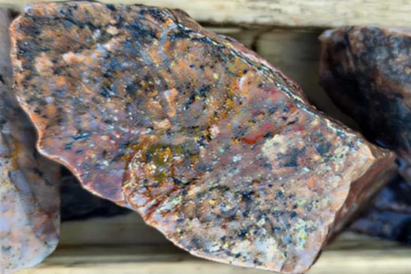 Infini Resources Confirms District-Scale Uranium System in Newfoundland