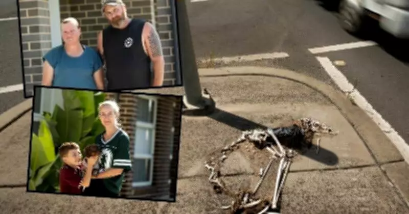 Lochinvar Highway Animal Bones Spark Community Outcry for Removal