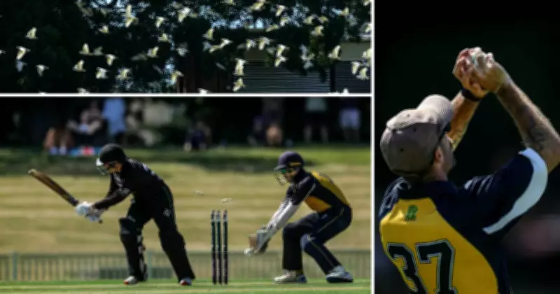 Merewether's T20 Semi-Final Weekend: A Rollercoaster of Emotions