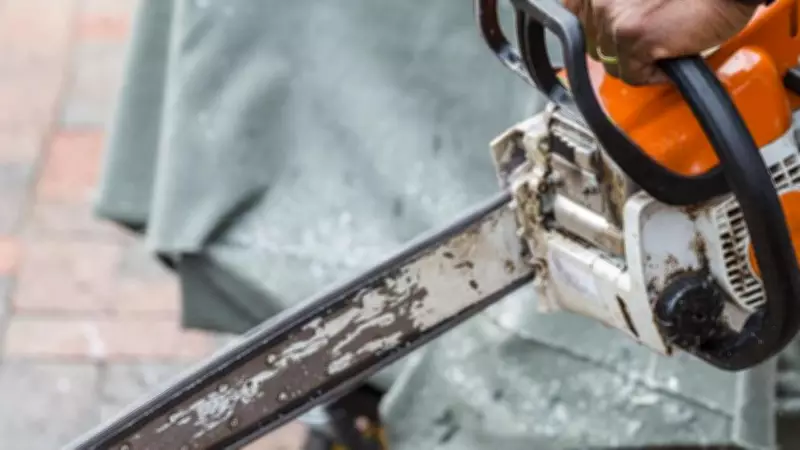 Mossman Man Jailed for Chasing Partner with Running Chainsaw in Terrifying Attack