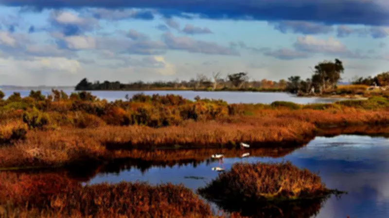 New $5,000 Grants for Volunteer Environmental Projects in Peel-Harvey Catchment