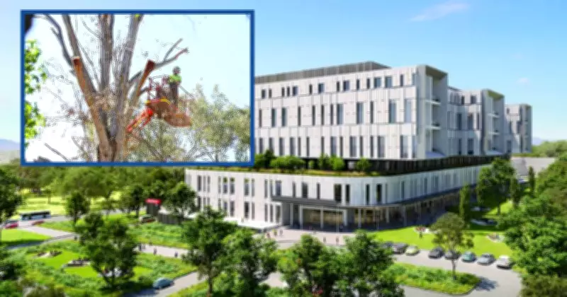 New Canberra Hospital Project Puts Endangered Gang-gang Cockatoos at Risk